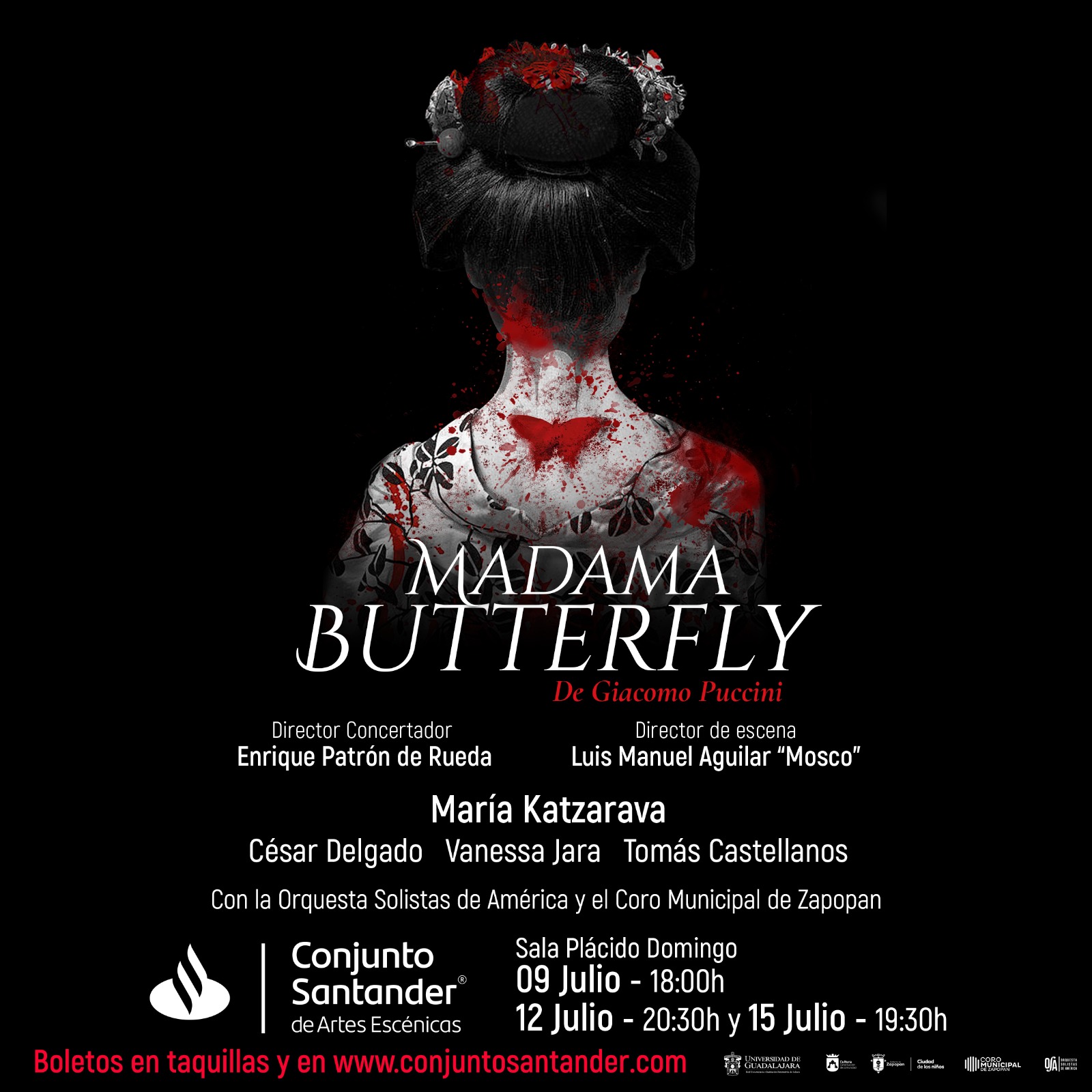 Madama Butterfly: Un ensayo acerca de su argumento y música